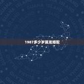 1987多少岁属龙婚配，87年属兔男和88年属龙女婚配合适吗？
