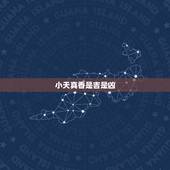 小天真香是吉是凶，小天真香是什么意思