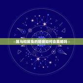 属马和属兔的婚姻如何会离婚吗，属马人2022 年运势