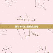 属马今天打麻将会赢吗，属马的人今天打麻将会赢吗