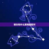 猪女和什么属相最配对，属狗和属猪千万不能在一起