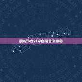 属相不合八字合是什么意思，生肖不合是什么意思？有那些生肖不合呢？