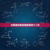 女属猪的最佳婚配属相十二月，1983年12月初8属猪的女人最佳婚配