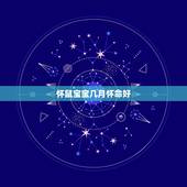 怀鼠宝宝几月怀命好，2023年属兔几月出生好