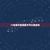 73年属牛属相属木可以戴金吗，73年属牛的贵人属相