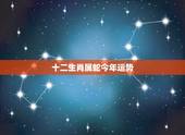 十二生肖属蛇今年运势，属蛇人2022 年运势运程