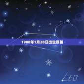 1980年1月20日出生属相，1980年1月20属什么