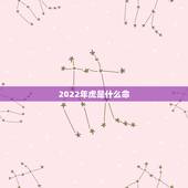 2022年虎是什么命，2022年属虎的本命年好不好