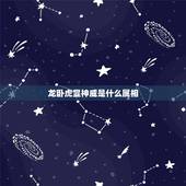 龙卧虎显神威是什么属相，龙卧虎猜一生肖