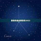 紫薇命盘免费算命2022 紫薇命盘十二宫概述