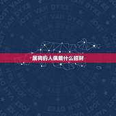 属狗的人佩戴什么招财，属狗的戴什么配饰招财