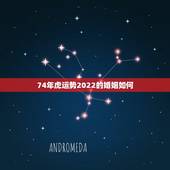 74年虎运势2022的婚姻如何，74年属虎男2021年运势及运程每月运