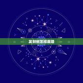 发财树怎样栽培，发财树怎么栽培