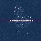 二浪用姓氏星座属相起新的名字，有木有星座、生肖、血型、姓名综合在一起的