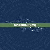 狗的属相最配什么生肖，狗与什么属相最配