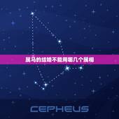 属马的结婚不能用哪几个属相，属马的人结婚是不能见什么属相