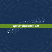 农历1975年属兔是什么命，1971年属猪的是什么命