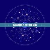 88年属龙人2022年运势，2022 年运势12生肖运势