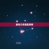 鼠年几月是富贵命，1984属鼠一生有二婚