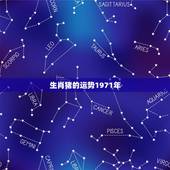 生肖猪的运势1971年，71年属猪生肖一生运势