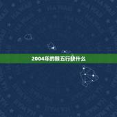 2004年的猴五行缺什么，属猴五行缺什么