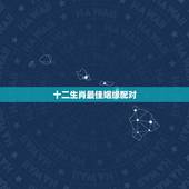 十二生肖最佳姻缘配对，十二生肖婚姻配对