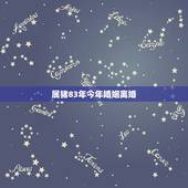 属猪83年今年婚姻离婚，属猪83年今年婚姻家庭如何