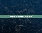 66年属马人做什么生意最旺，属马的适合做什么生意