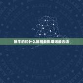 属牛的和什么属相最配婚姻最合适，2022虎命太苦