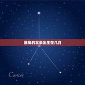 属兔的富豪出生在几月，属兔几点钟出生大富大贵