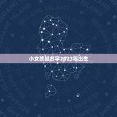 小女孩起名字2023年出生 2023年女虎宝宝名字大全