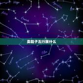 卖鞋子五行属什么，在五行什么行业的工作属于
