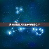 属相蛇的男人到底心好还是心坏，男人属蛇命运财运爱情怎样和什么属象合适
