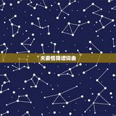 夫妻情简谱词曲，夫妻情闫维文演唱歌谱