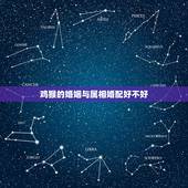 鸡猴的婚姻与属相婚配好不好，属鸡的和什么最相配？