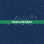 马年是1978年今年多大，属马的今年多大岁数