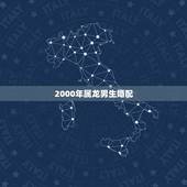 2000年属龙男生婚配，2000属龙男和2004女