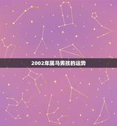 2002年属马男孩的运势，属马02年农历8月8日午时明年运势如何男孩？