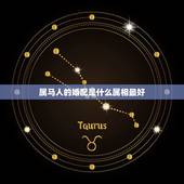 属马人的婚配是什么属相最好，属马的人配什么属相更好