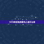 1978年出生的属马人是什么命，1978年属马的到底是火命还是土命？