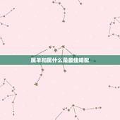 属羊和属什么是最佳婚配，属羊的和什么属相相配最好？