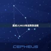 属虎人2022年运势及运程，2022年虎的全年运势怎么样