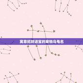 寓意招财进宝的宠物乌龟名，茶宠是什么意思？不同茶宠都有什么寓意？