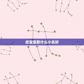 虎宝宝取什么小名好，虎宝宝小名叠字