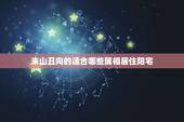 未山丑向的适合哪些属相居住阳宅，未山丑向择什么日做阴宅好