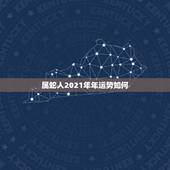 属蛇人2021年年运势如何，2021年属蛇人的全年运势男性