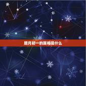 腊月初一的属相是什么，农历1993年腊月初一是属什么的
