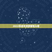 2022年虎年清宫图怎么看，2022 年清宫表生男生女图