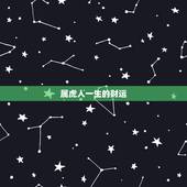 属虎人一生的财运，1986年属虎人一生财运