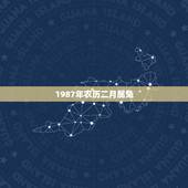 1987年农历二月属兔，属兔出生在八月